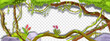 Jungle liana vector green frame, tropical vine branch illustration on transparent background. Paradise plant, green vegetation, exotic flower, stone, moss, tree trunk. Amazon rainforest liana frame