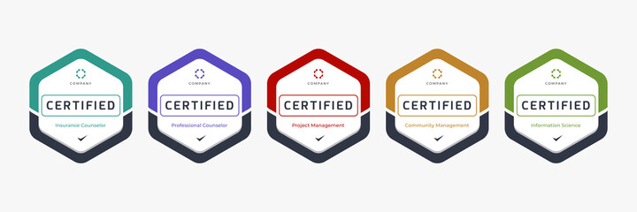 set of company training badge certificates to determine based on criteria. vector illustration certi