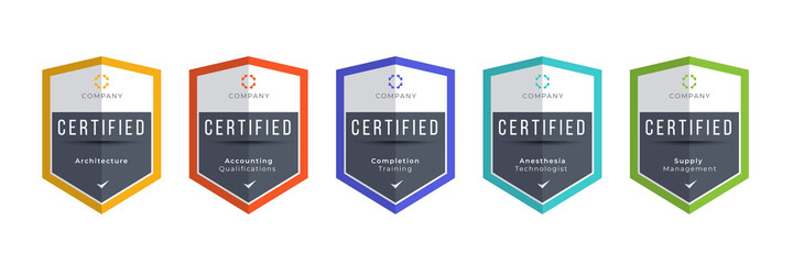 Wall Mural - certified logo badge. criteria level digital certificate with shield logo line. vector illustration 