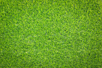 Canvas Print - green grass background