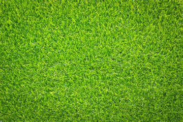 Canvas Print - green grass background