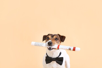 Poster - Cute dog with newspaper on color background