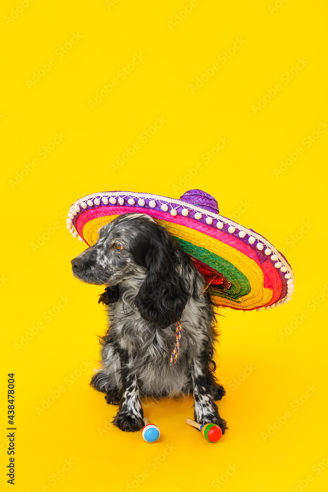 Cute dog in sombrero hat on color background