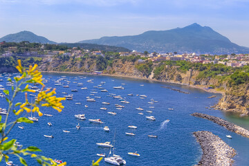 Wall Mural - Procida: Chiaia beach is the most beautiful of the island. It is closed in the Bay of Chiaia, that repairs it from wind and waves and it is almost entirely free, with two bathing establishments.