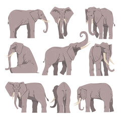 Sticker - Elephant as Large African Animal with Trunk, Tusks, Ear Flaps and Massive Legs Vector Set