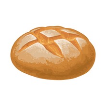 Rye Bread. Vector Color Hand Drawn Realistic Illustration