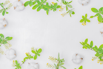 Wall Mural - flat lay composition with branches and green leaves, cotton on a white background