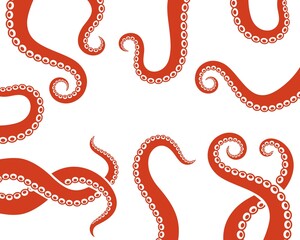 Wall Mural - Octopus tentacles. Isolated octopus tentacles on white background