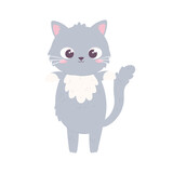 Fototapeta Zwierzęta - cute gray kitty
