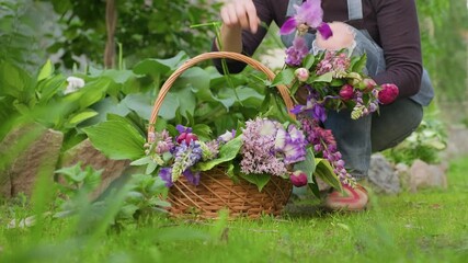 Poster - Outdoor close-up basket with garden fresh spring flowers in the hands of woman