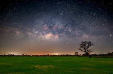 Wall Mural - milky way with stars over rice field.with grain and select white balance.white clouds obscured and d