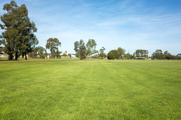 Background texture of a large public local park with green and healthy grass and with some trees and residential houses in the distance. Melbourne, VIC Australia