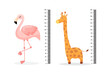 Kids meter wall with a cute cartoon flamingo, giraffe and measuring ruler. Vector illustration of an animal isolated.