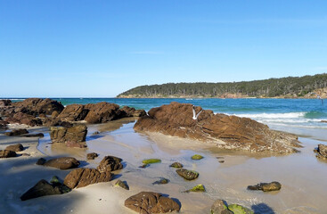 Seagulls and rocks on the beach