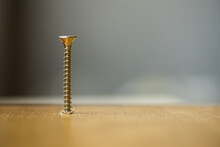 Wood Screw Drilled Into Wood
