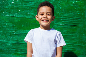 Wall Mural - Five year old little boy in summer park