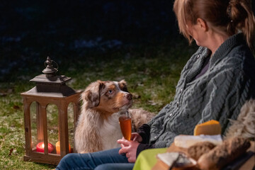 Young woman drinks red wine by the campfire in the forest. Her Australian Shepperd is lying next to her on a rug in the grass. The dog looks at its owner. Enjoying food and drink in leisure time in