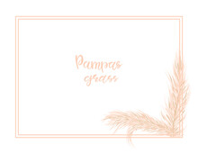 Pampas Grass Gentle Background. Frame With Dry Grass For The Decoration Of Invitations. Vector Hand Illustration