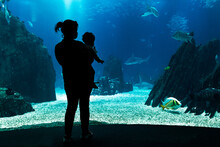 Woman And Baby Watching The Fish Tank With Sharks.