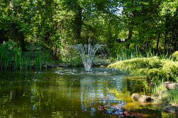 Wall Mural - Beautiful garden pond with stone banks and cascading fountain againstbackdrop of evergreens. Water is emerald green. Large branch of juniper hangs over water. Nature spring design concept.