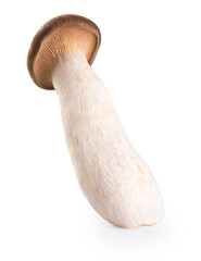 Wall Mural - Eryngii mushroom isolated on white background.