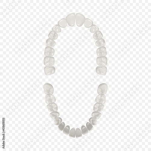 Vector 3d Realistic Teeth, Upper, Lower Adult Jaw, Top View. Anatomy