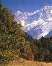 France, Haute Savoie, Aiguilles De Chamonix, Aiguille Du Midi, Dauphine, Mountain Landscape, Mountains, Forest, Mountain Top, Snow, Nature, 