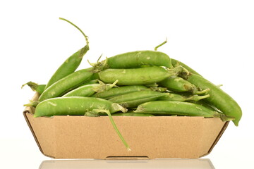 Several organic green pea pods in a paper plate, close-up, isolated on white.