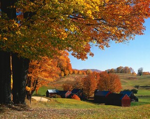 usa, vermont, indian summer, jenne farm, america, new england, landscape, autumn landscape, autumn, farm, trees, maple trees, sugar maple, leaves, autumn colour, mood, 