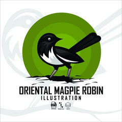 ORIENTAL MAGPIE ROBIN ILLUSTRATION