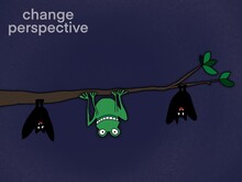 Change Perspective, Frog Open A New Perspective Like Bats , Vision Difference Looking Mindset Attitude.