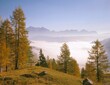 © VisualEyze - autumn landscape, mountains, fog, season, autumn, autumnal, landscape, mountain landscape, conifers, larches, nature, trees, seasons, silence, calm, valley, cloud cover,