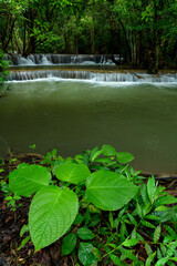 Wall Mural - Beautiful waterfall in deep forest at Thailand.