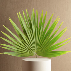 Wall Mural - Windmill palm leaf and podium for product presentation background 3d rendering. Tropical leaf and cylindrical platform product display design template.