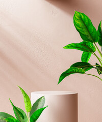 Wall Mural - Cylindrical round platform and tropical leaves with light and shadows on the wall, cosmetic product display background, empty room scene object placement mockup. 3d rendering