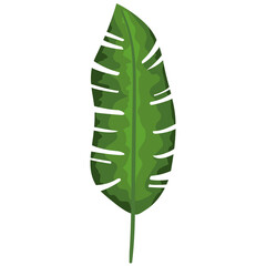 Sticker - tropical leaf icon