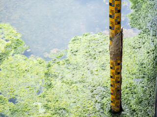 Wall Mural - Level indicator by local type was installed in power plant for monitor level in pond.