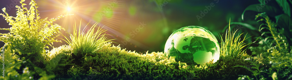 Glass globe on green moss in nature concept for environment and conservation - obrazy, fototapety, plakaty 