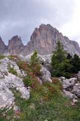 Canvas Print - Die steinende Stadt in den Dolomiten