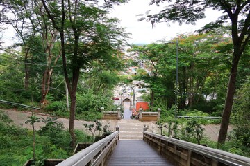 Wall Mural - bridge in the park