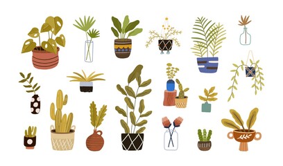 Wall Mural - Set of different foliage indoor plants for house and office interior decoration. Green houseplants in pots, baskets, vases, and planters. Colored flat vector illustration isolated on white background