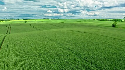Wall Mural - Agriculture in Poland. Field in spring. Aerial view of nature.