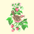 vector art embroidery bird and strawberries