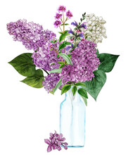 Hand Drawn Vector Lush Lilac Bouquet In Glass Bottle
