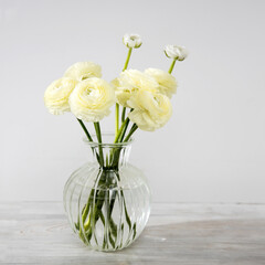 Wall Mural - the bouquet of pale yellow persian buttercups in the glass vase