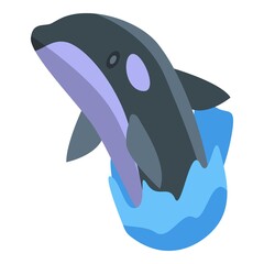 Poster - Killer whale dangerous icon. Isometric of Killer whale dangerous vector icon for web design isolated on white background