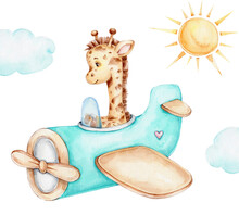 Cute Cartoon Giraffe On Airplane; Watercolor Hand Drawn Illustration; With White Isolated Background