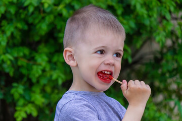 Wall Mural - Photo of a boy with a lollipop on a green background. Selective focus