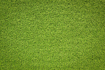 Canvas Print - top view green grass texture for background