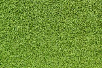 Sticker - top view green grass texture for background